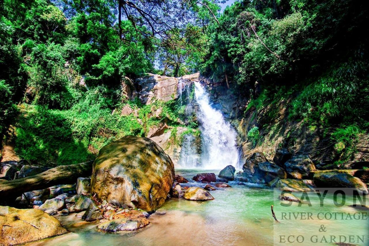 Sayon River Cottage & Eco Garden Monaragala エクステリア 写真