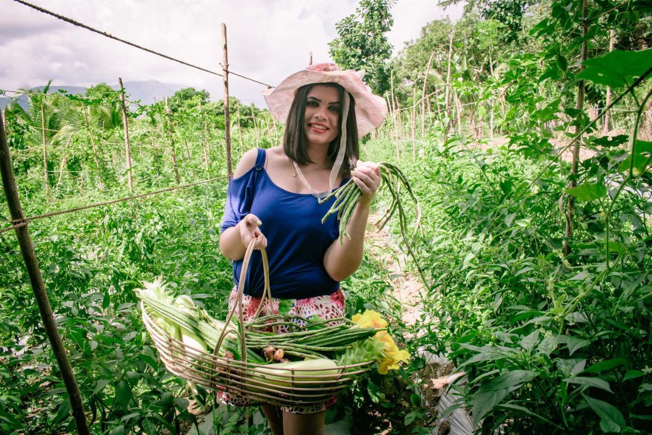 Sayon River Cottage & Eco Garden Monaragala エクステリア 写真