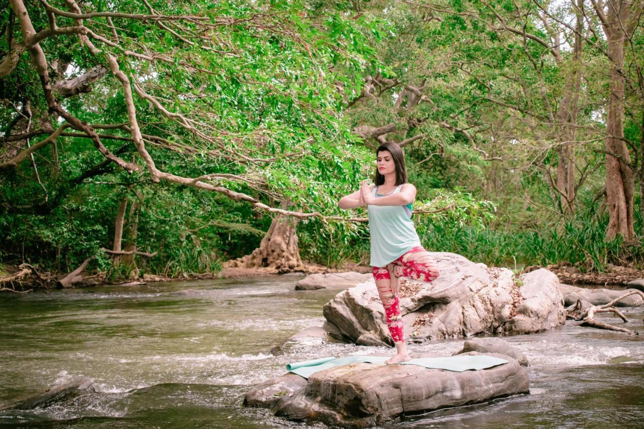 Sayon River Cottage & Eco Garden Monaragala エクステリア 写真