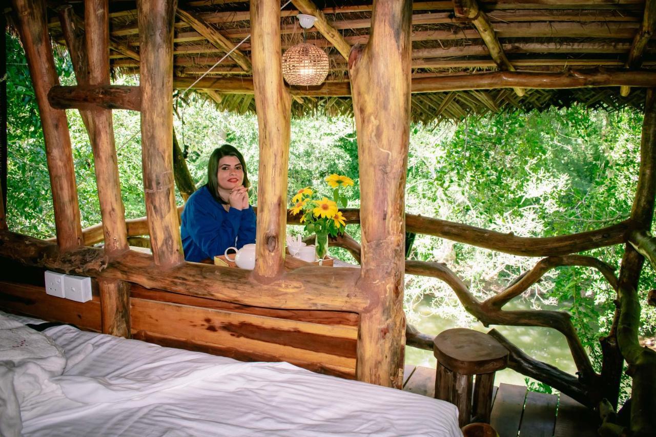 Sayon River Cottage & Eco Garden Monaragala エクステリア 写真