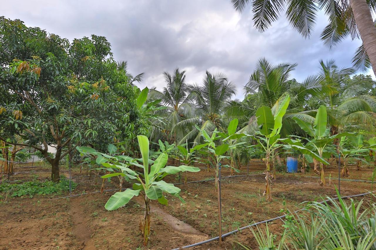 Sayon River Cottage & Eco Garden Monaragala エクステリア 写真