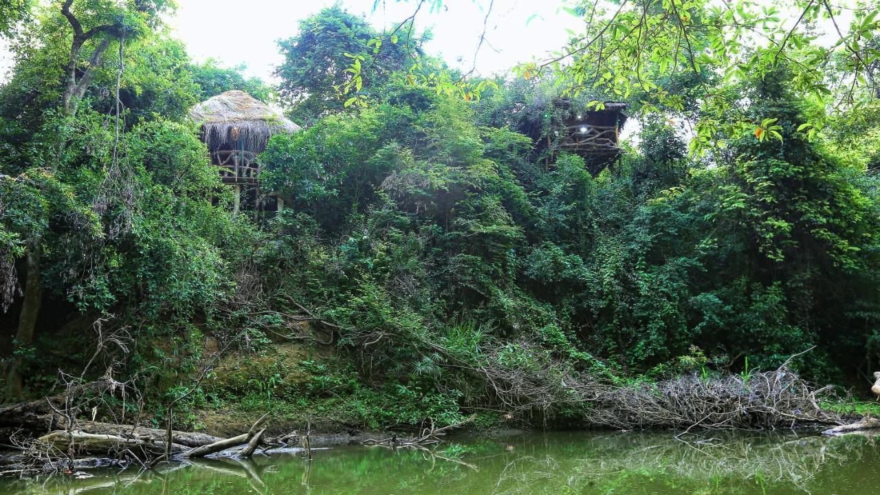 Sayon River Cottage & Eco Garden Monaragala エクステリア 写真