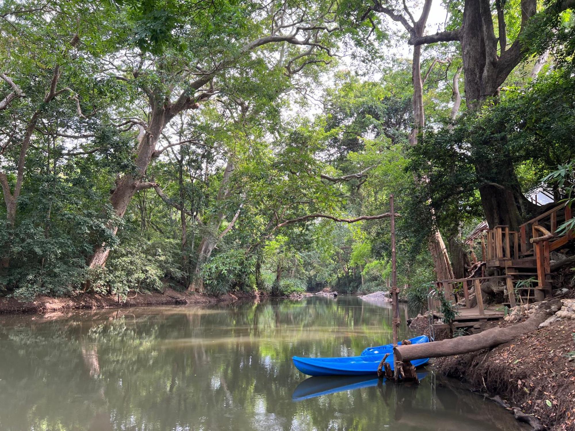Sayon River Cottage & Eco Garden Monaragala エクステリア 写真